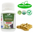 Kapsul Ekstrak Senna Plus 1001 Khasiat Detox